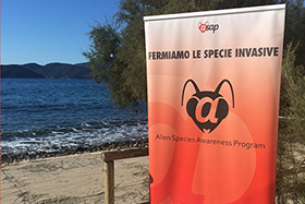 Moltiplicatori sul mare